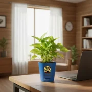 Golden Money Plant With Self Watering Pot