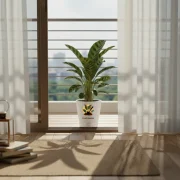 Calathea Palm – Decorative Indoor Palm