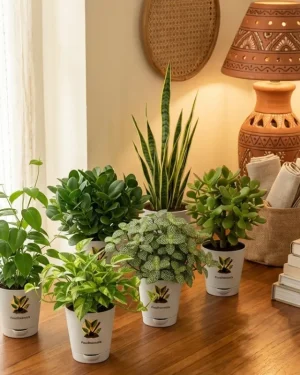 Bedroom Air Filter Bundle (Set of 6)