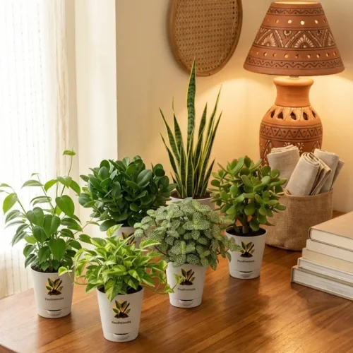 Bedroom Air Filter Bundle (Set of 6)