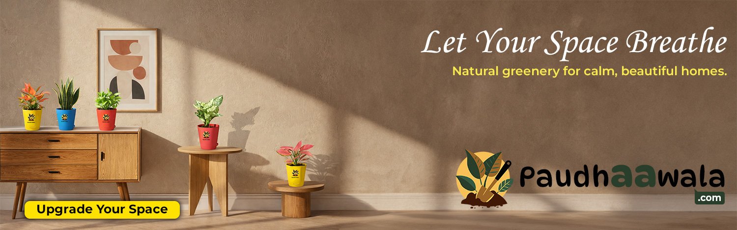 BANNER-FOR-WEBSITE (1)