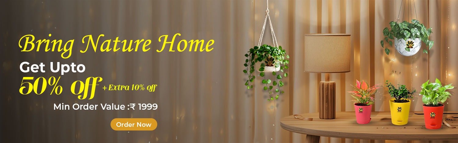 WhatsApp Image 2026-01-08 at 3.46.12 PM